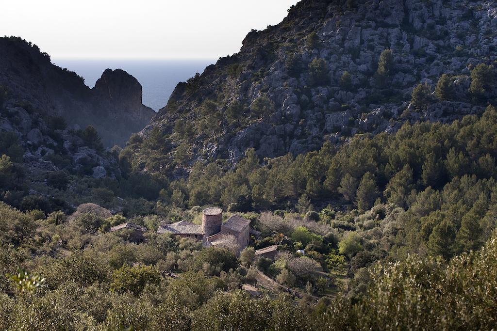 Maison d'hôtes Agroturismo Balitx D'Avall à Fornalutx Extérieur photo